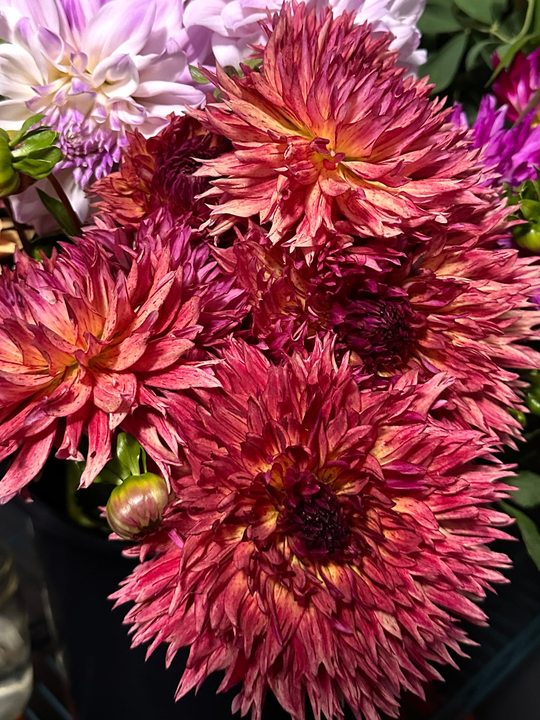 Bouquet of colorful flowers including pink, salmon, and orange with green leaves.