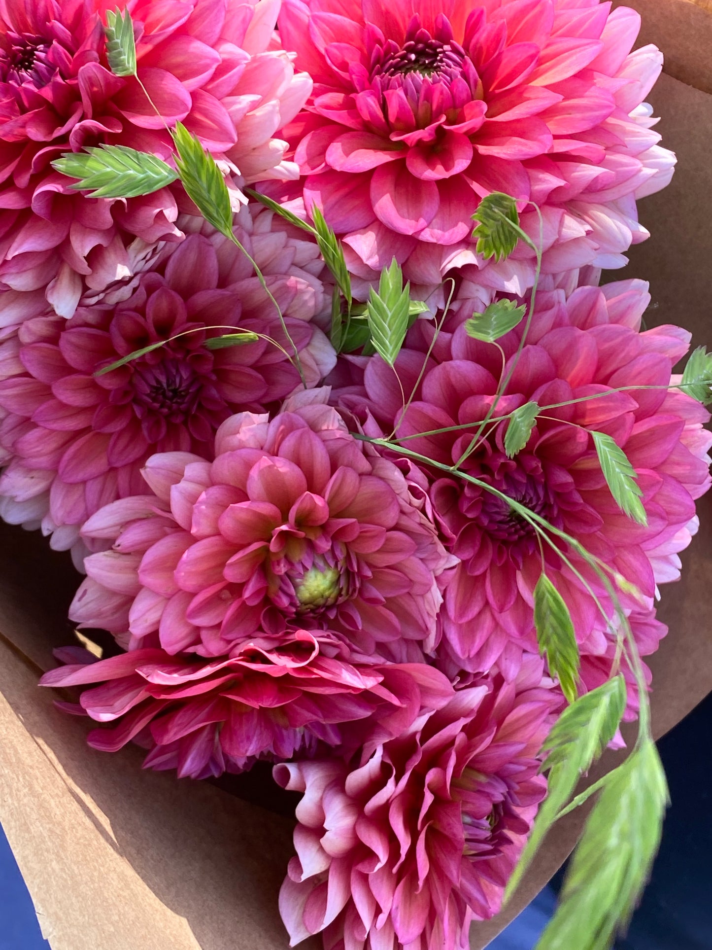 Bouquet of salmon pink dahlias with green sea oat leaves wrapped in brown paper