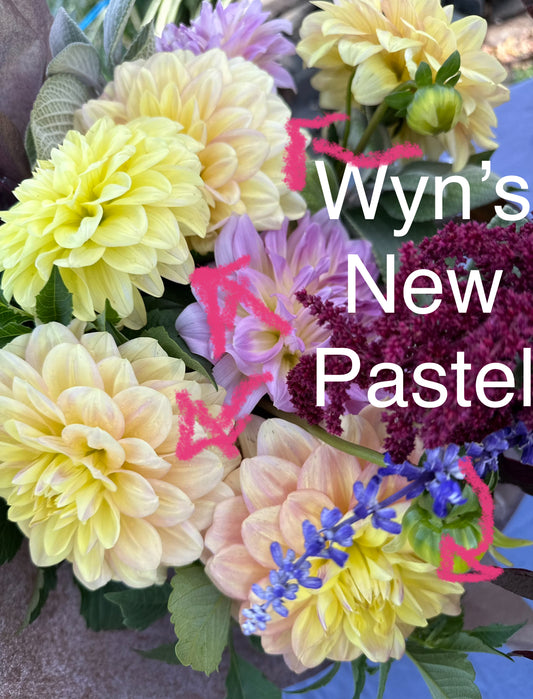 Wyn’s New Pastel Dahlia Tuber