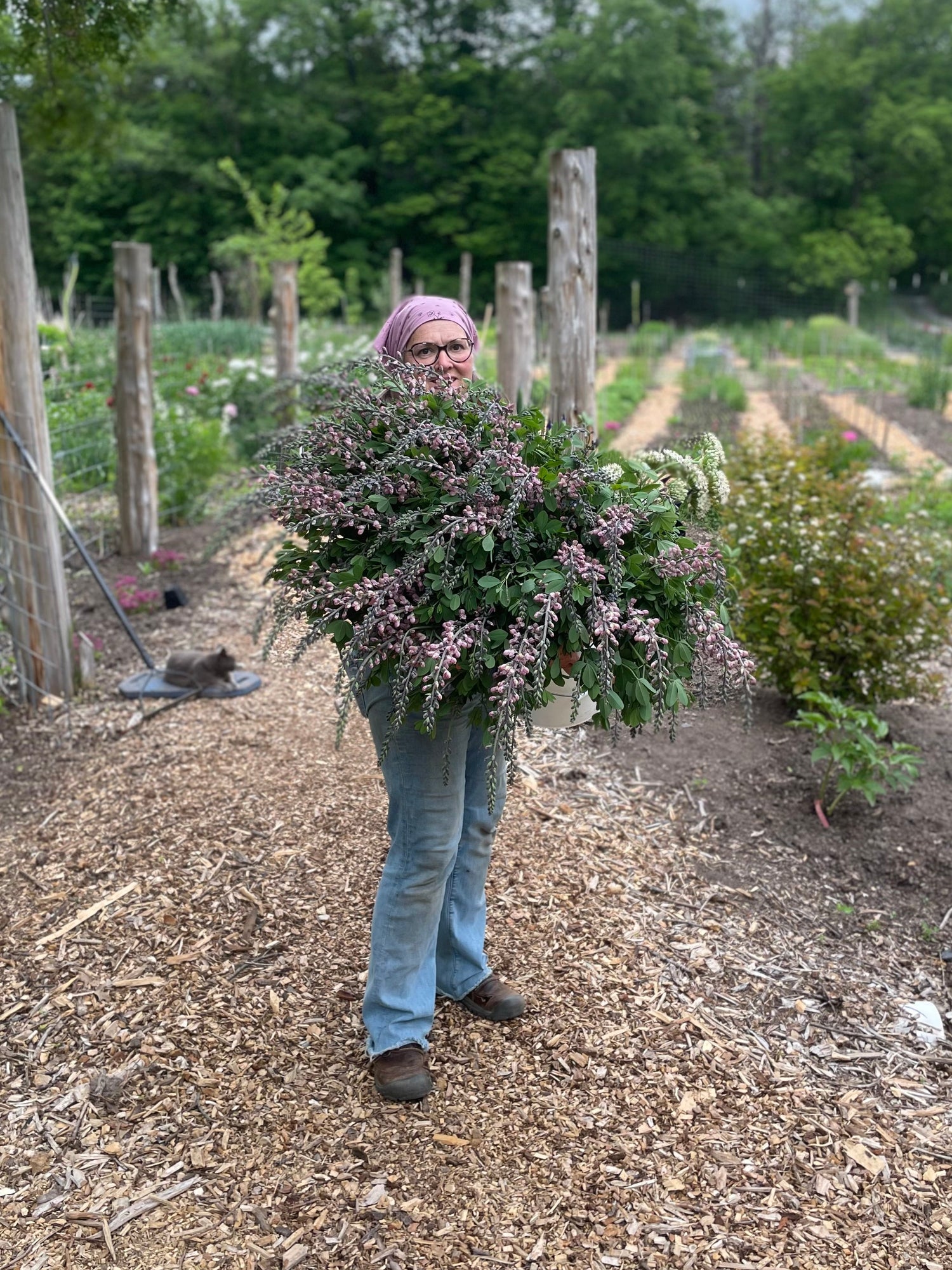 Person holding a bundle of harvested plants in a garden setting